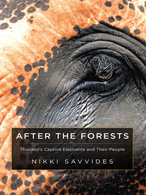 cover image of After the Forests